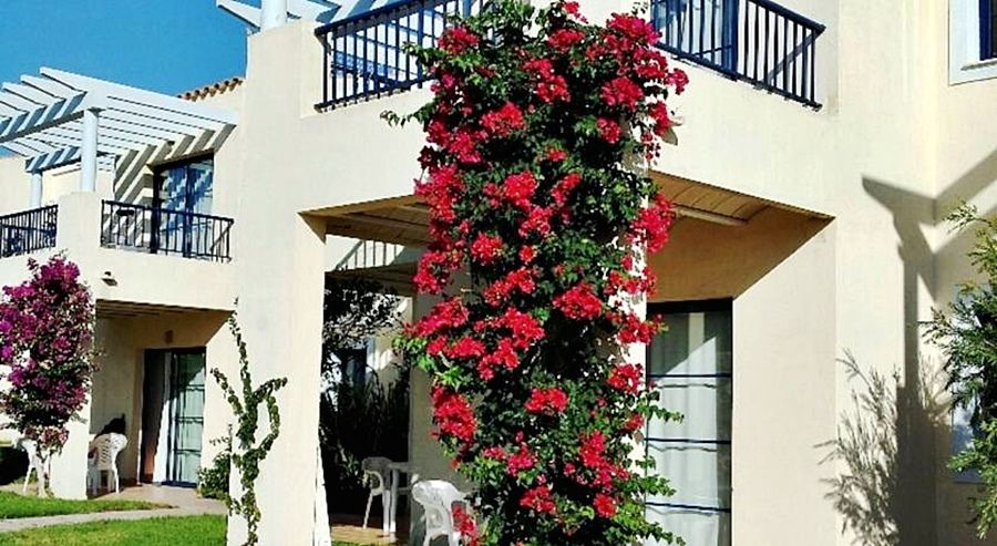 Apartamentos Primasud Punta Prima  Dış mekan fotoğraf